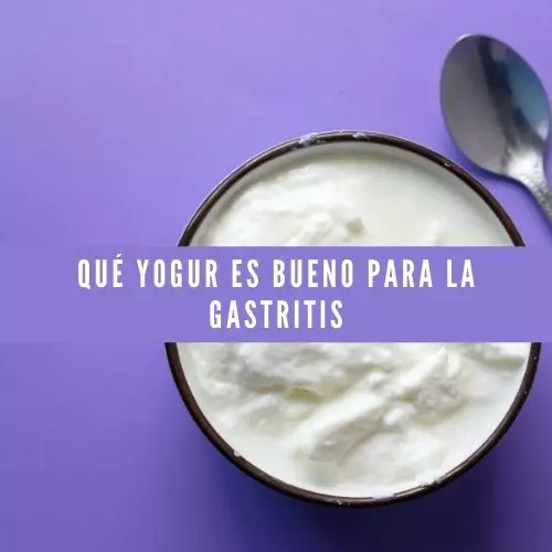 Qué yogur es bueno para la gastritis